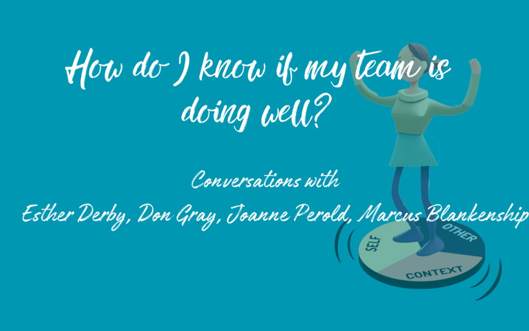 How Do I Know if My Team is Doing Well?